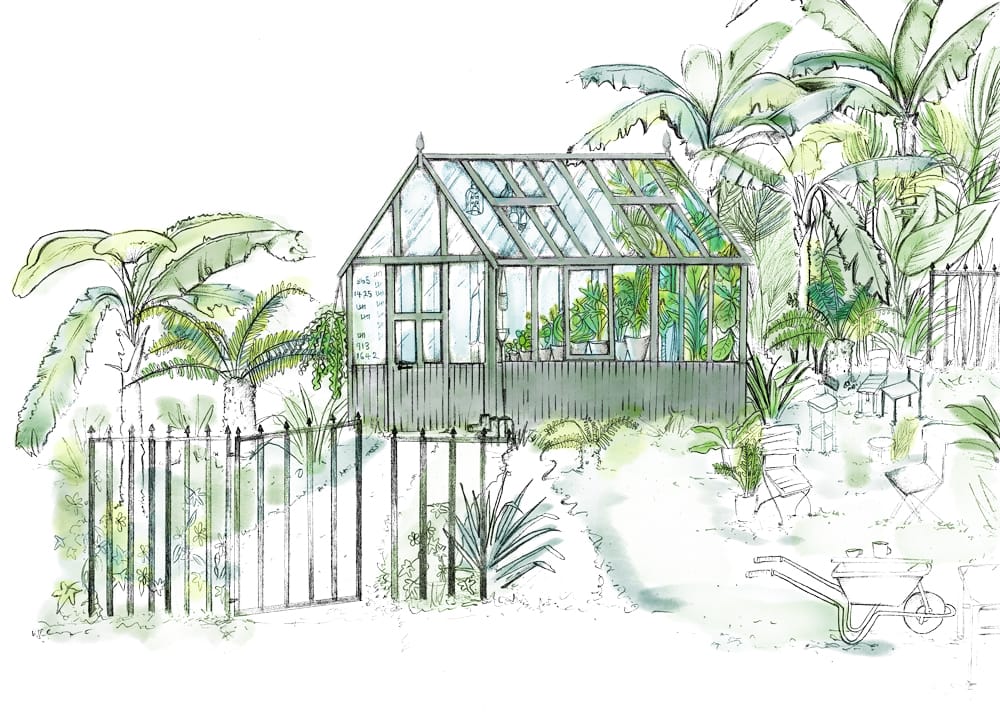 An artists illustration of The Glasshouse displayed at RHS Chelsea Houseplant Studios 2024